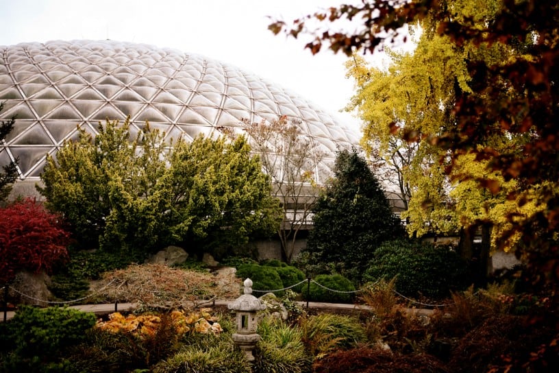 The Bloedel Conservatory, a jewel in the city perched atop Queen Elizabeth Park. Photo by Joshua McVeity.