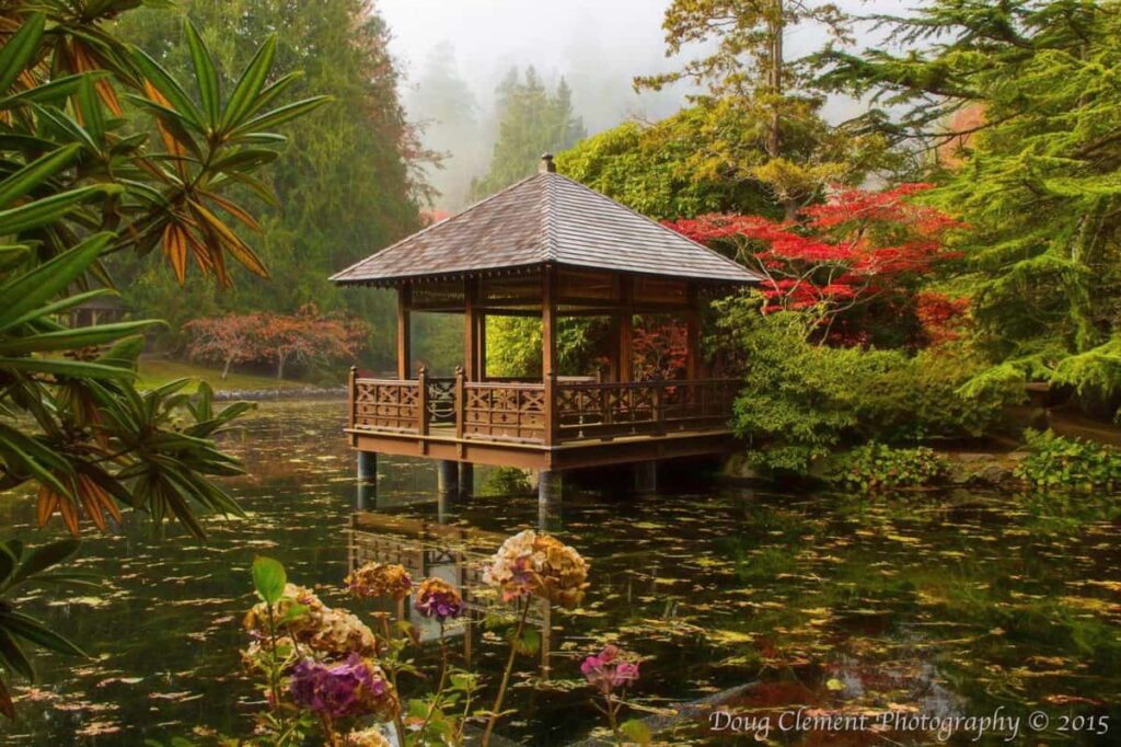 Hatley Park Japanese garden in autumn